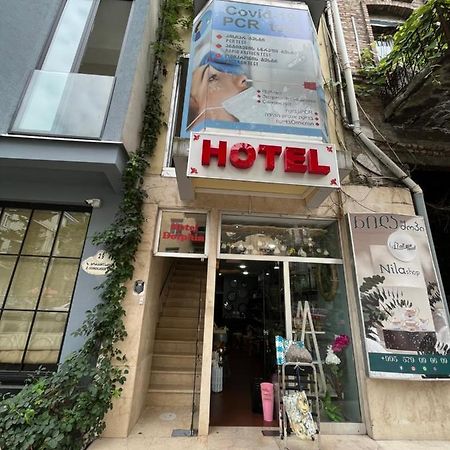 Hotel Dolphin باتومي المظهر الخارجي الصورة