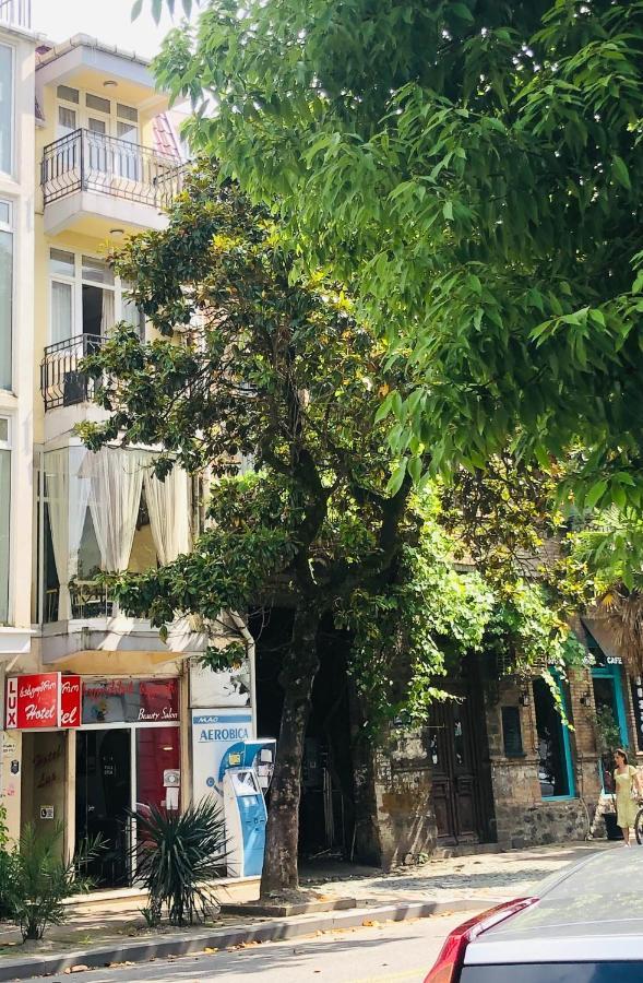 Hotel Dolphin باتومي المظهر الخارجي الصورة